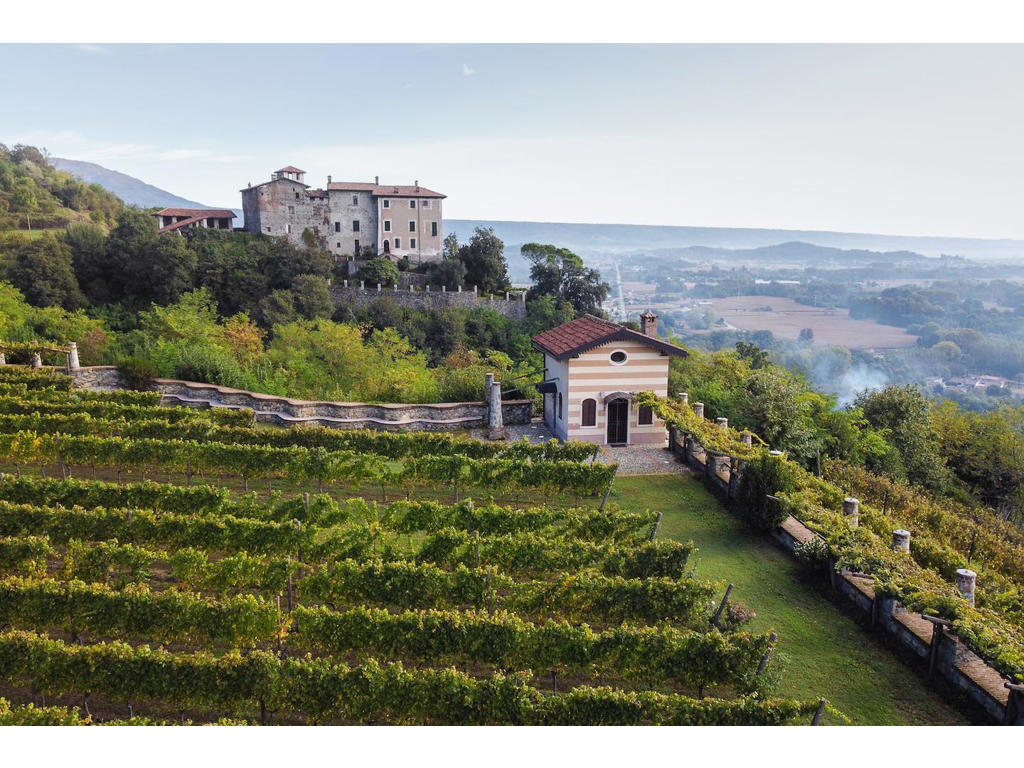 Tappero Merlo Domenico Acini Perduti