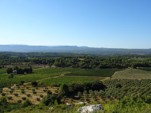 Domaine de Bendel - Côtes de Provence Rosé