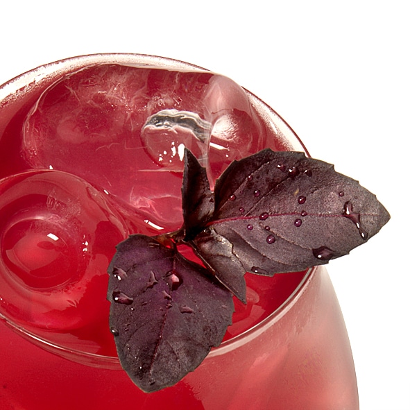 Cocktails med Geranium Gin